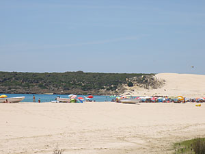 Bolonia rural