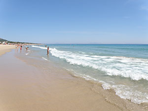 Bolonia playa